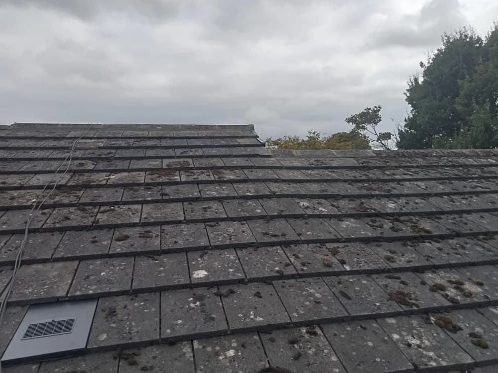 Everything Insulation gallery photo 12