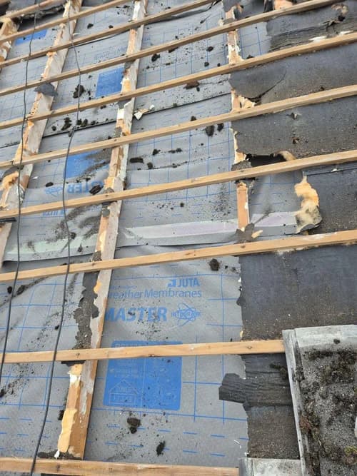 Everything Insulation gallery photo 9